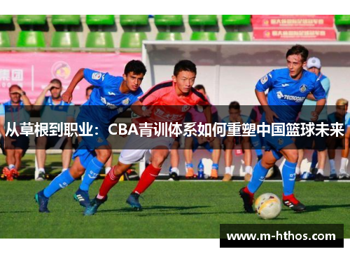 从草根到职业：CBA青训体系如何重塑中国篮球未来